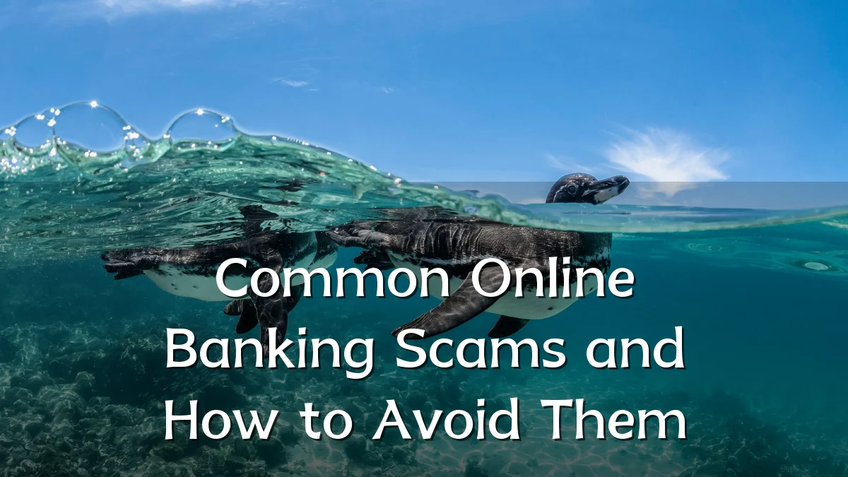 Common Online Banking Scams and How to Avoid Them