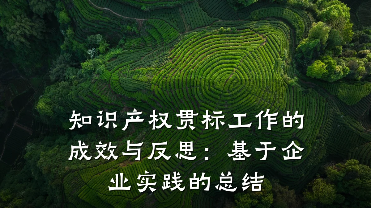 知识产权贯标工作的成效与反思:基于企业实践的总结