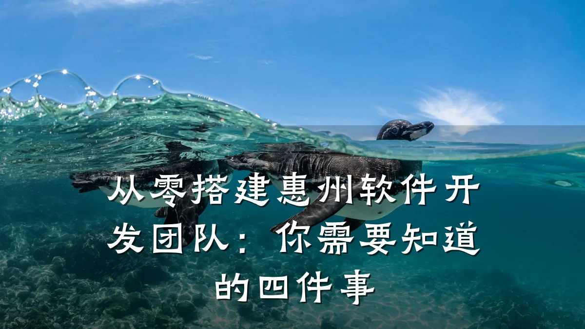 从零搭建惠州软件开发团队:你需要知道的四件事