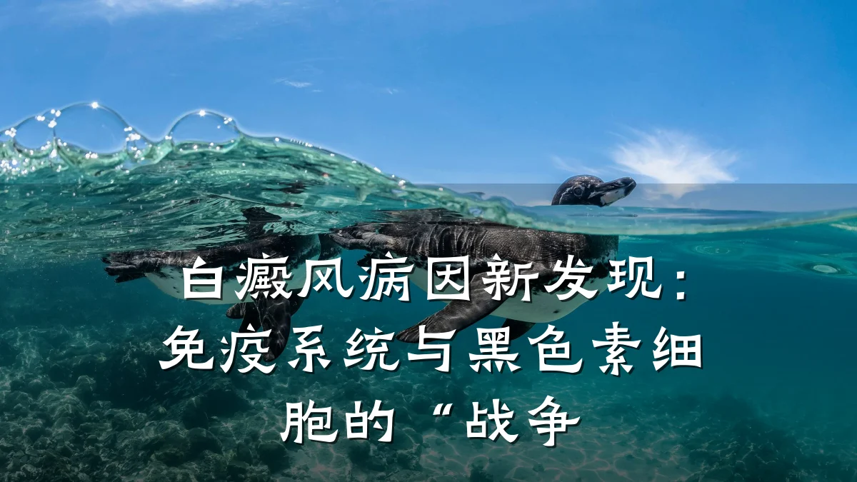 白癜风病因新发现:免疫系统与黑色素细胞的“战争