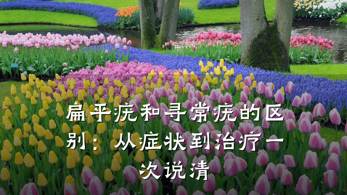扁平疣和寻常疣的区别：从症状到治疗一次说清