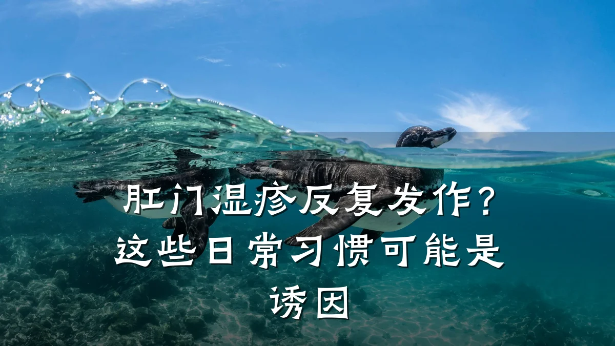 肛门湿疹反复发作？这些日常习惯可能是诱因