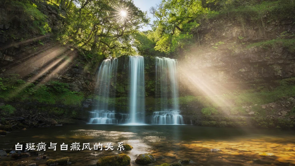 白斑病与白癜风的关系
