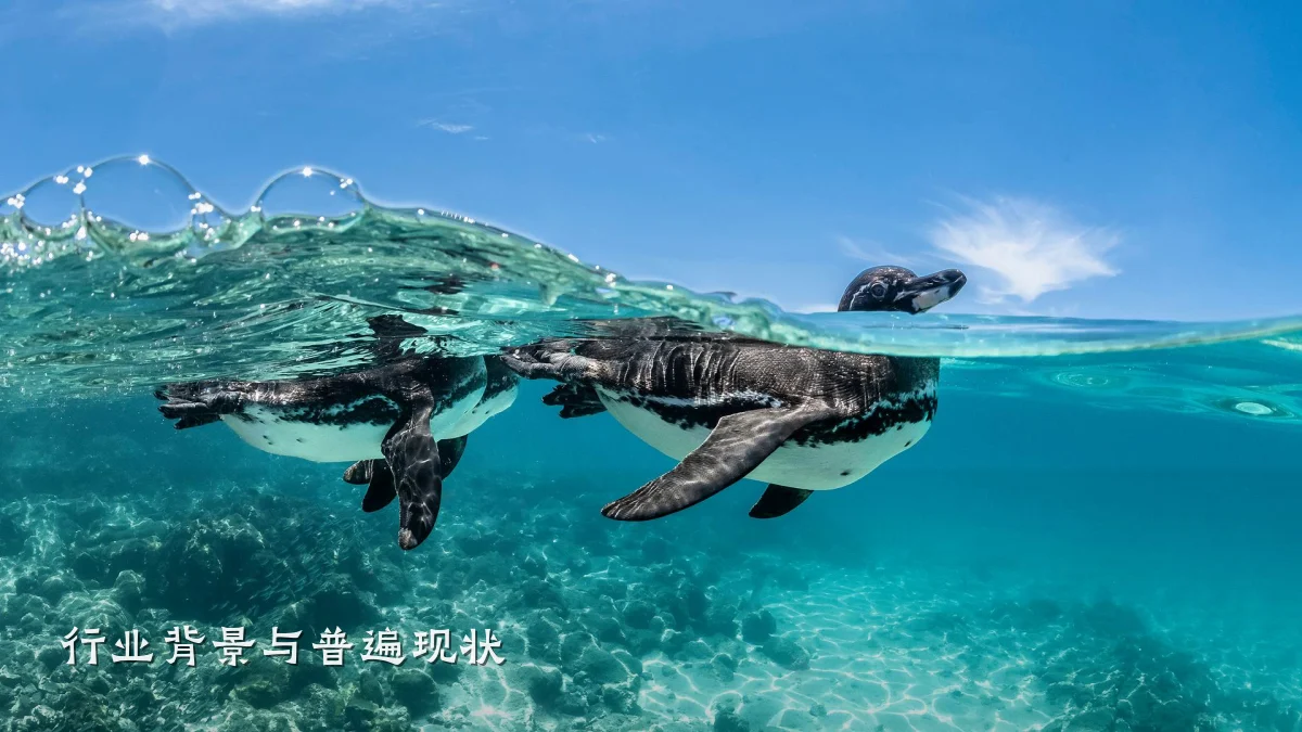行业背景与普遍现状