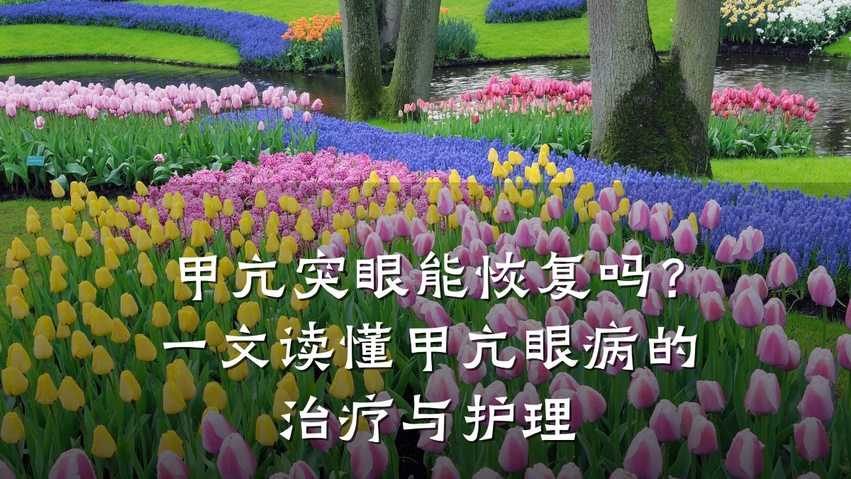 甲亢突眼能恢复吗？一文读懂甲亢眼病的治疗与护理