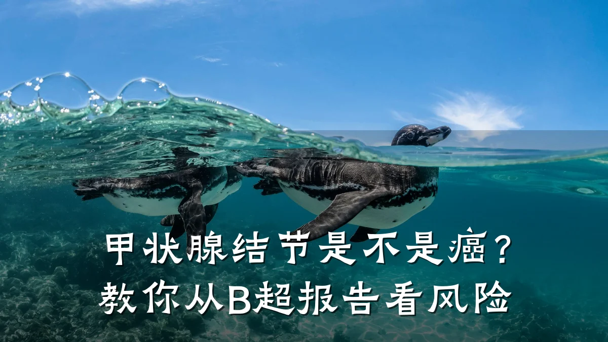 甲状腺结节是不是癌？教你从B超报告看风险