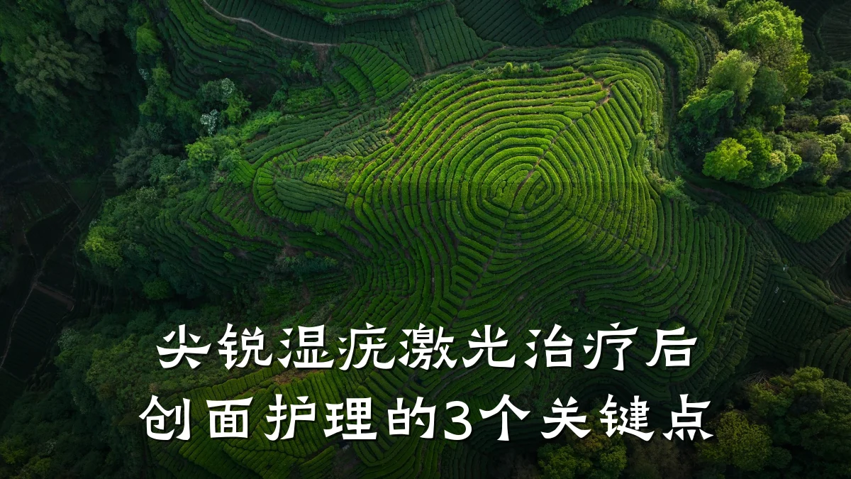 尖锐湿疣激光治疗后创面护理的3个关键点