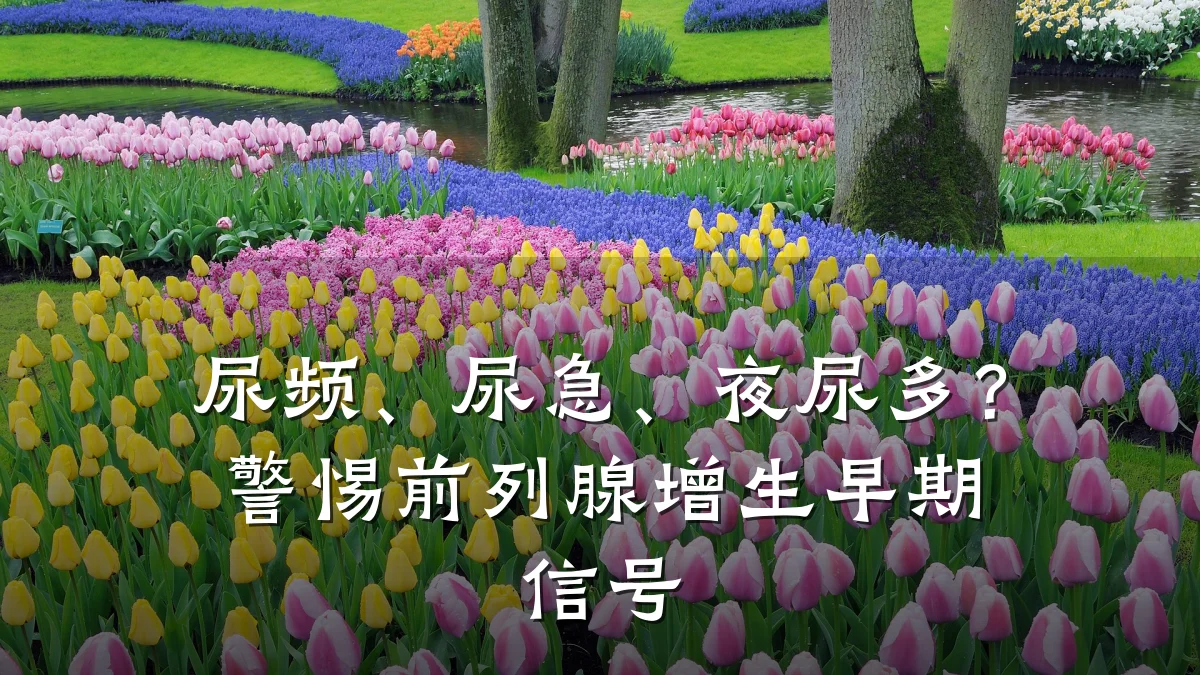 尿频、尿急、夜尿多?警惕前列腺增生早期信号