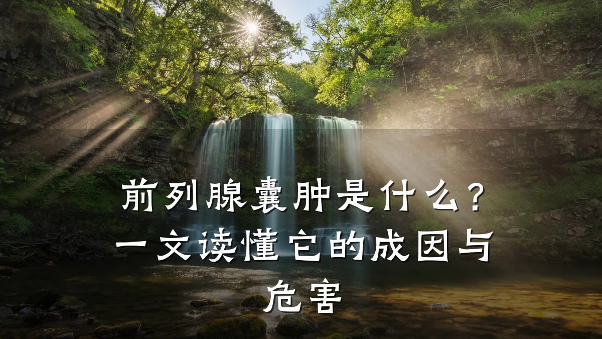 前列腺囊肿是什么?一文读懂它的成因与危害