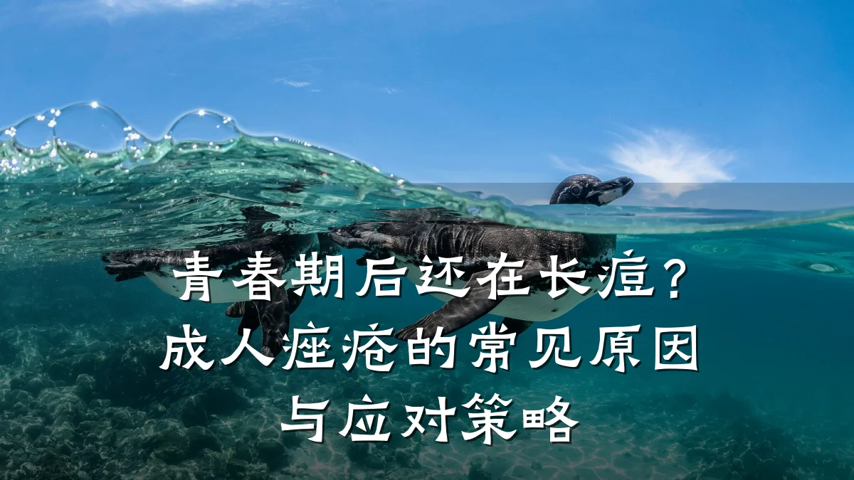 青春期后还在长痘?成人痤疮的常见原因与应对策略