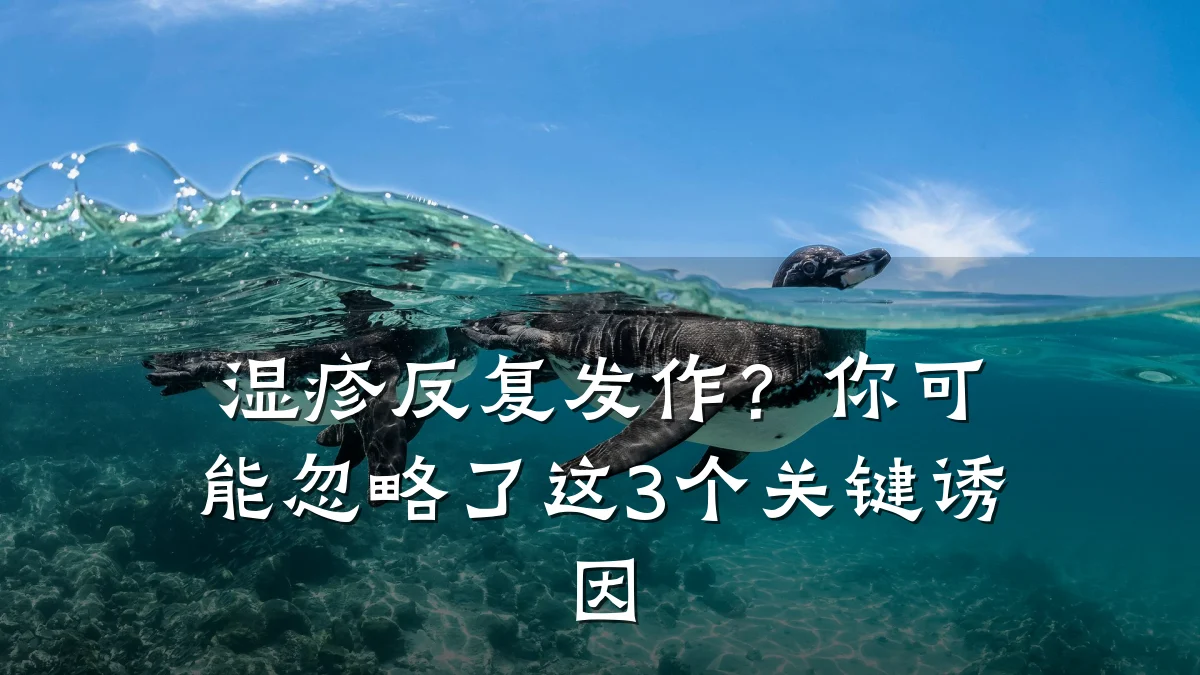 湿疹反复发作?你可能忽略了这3个关键诱因