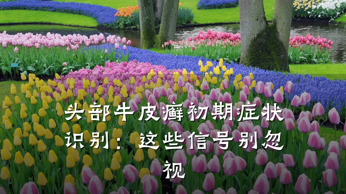 头部牛皮癣初期症状识别：这些信号别忽视