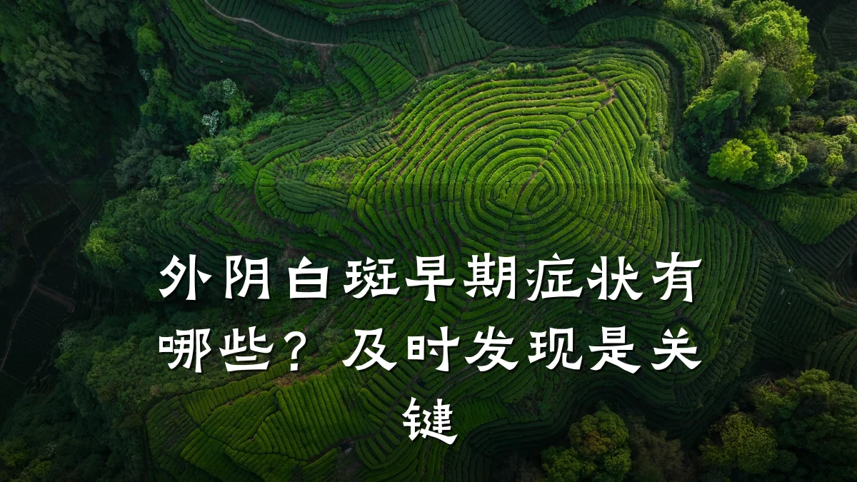 外阴白斑早期症状有哪些？及时发现是关键