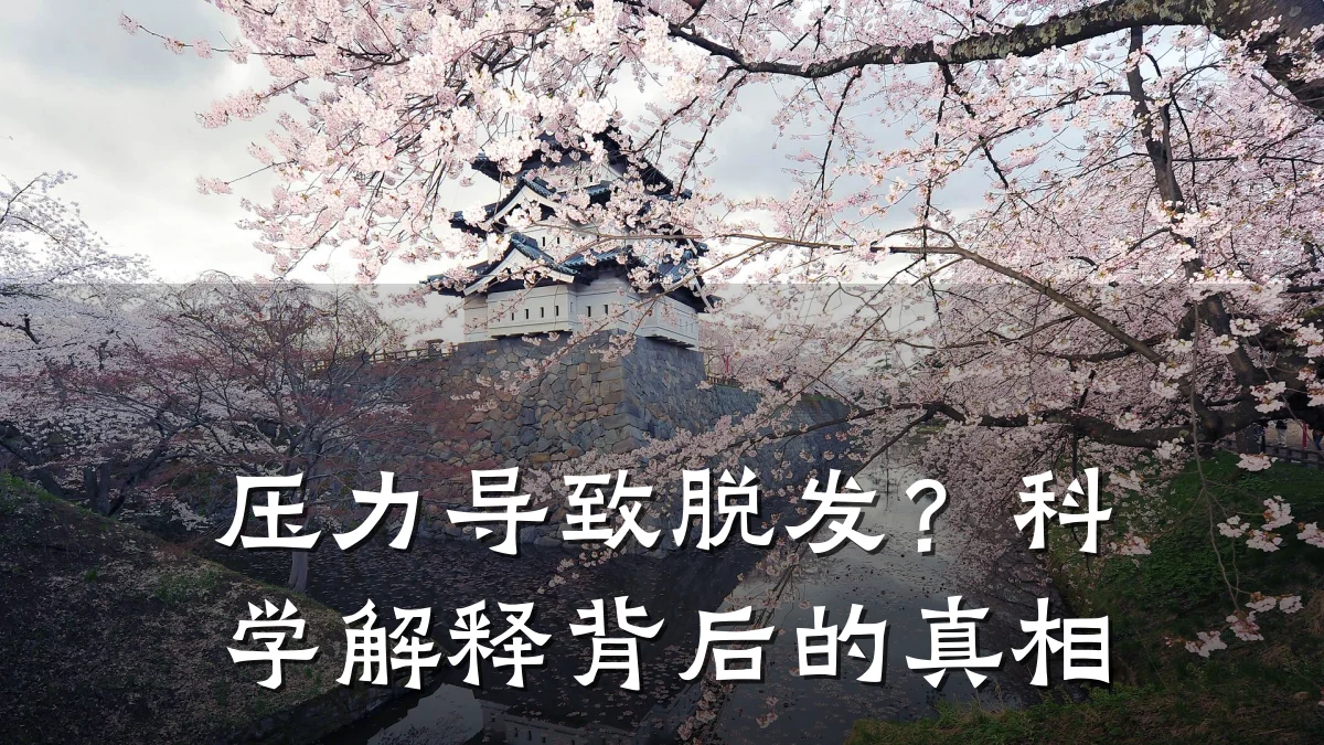 压力导致脱发?科学解释背后的真相