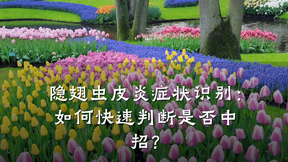 隐翅虫皮炎症状识别：如何快速判断是否中招？