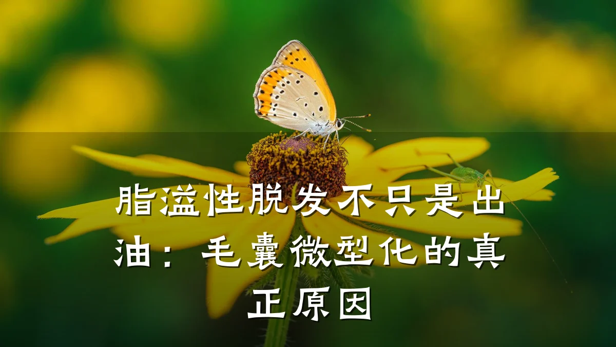 脂溢性脱发不只是出油:毛囊微型化的真正原因