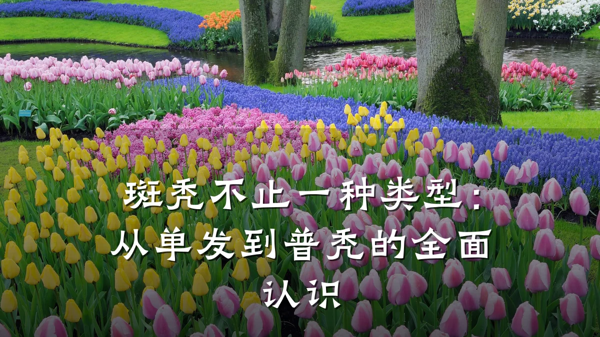 斑秃不止一种类型:从单发到普秃的全面认识