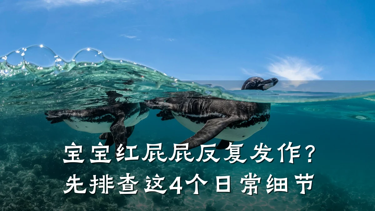 宝宝红屁屁反复发作？先排查这4个日常细节