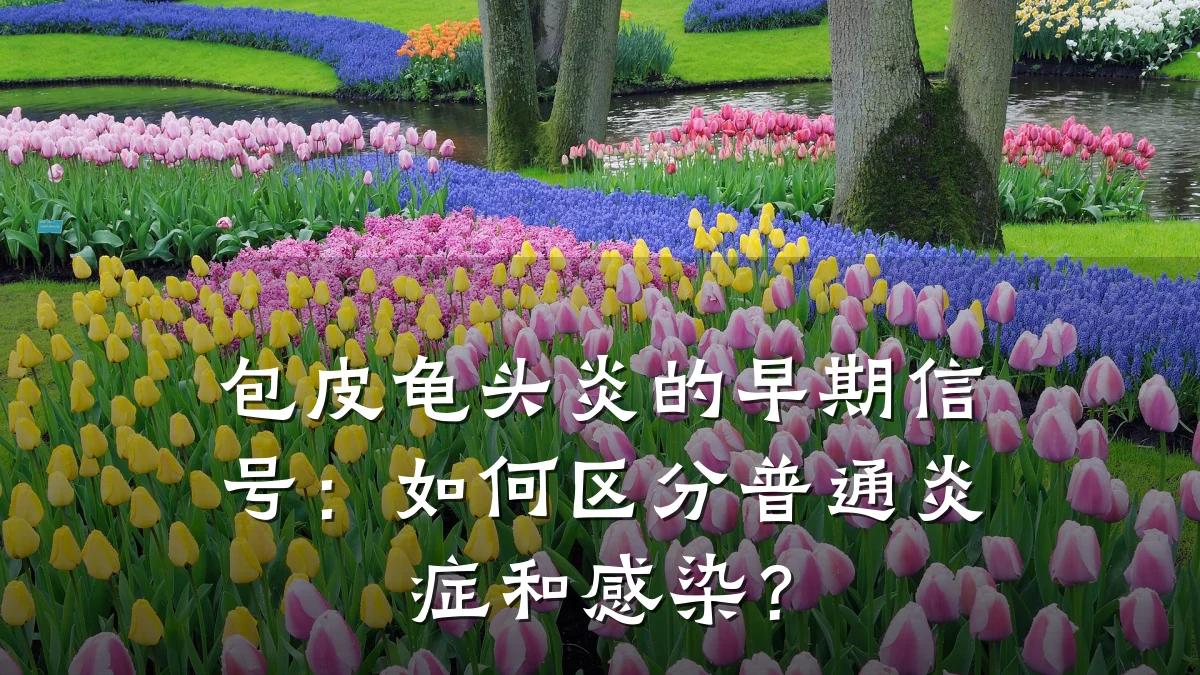 包皮龟头炎的早期信号：如何区分普通炎症和感染？
