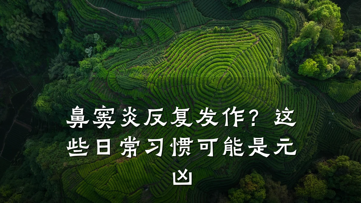 鼻窦炎反复发作?这些日常习惯可能是元凶