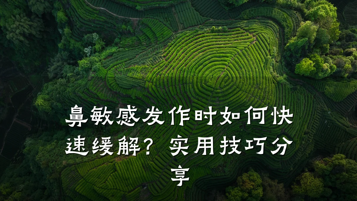 鼻敏感发作时如何快速缓解?实用技巧分享