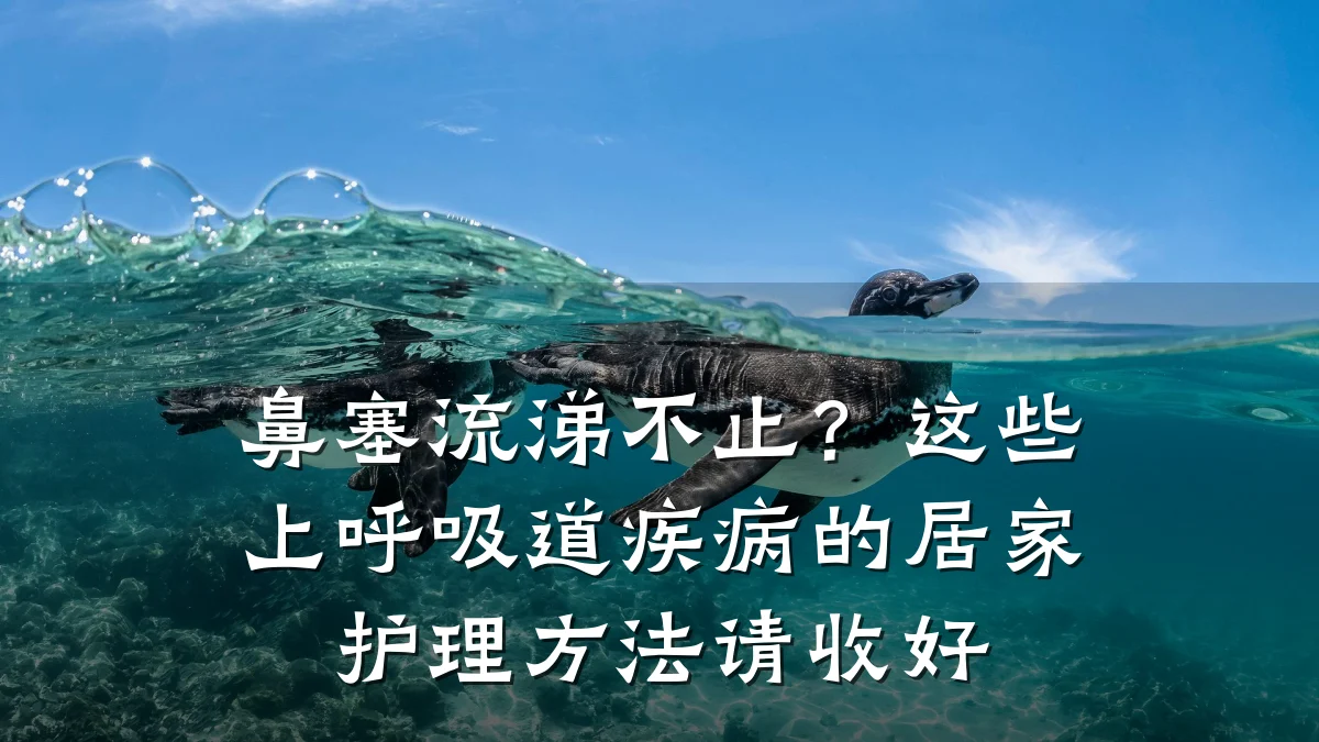 鼻塞流涕不止?这些上呼吸道疾病的居家护理方法请收好