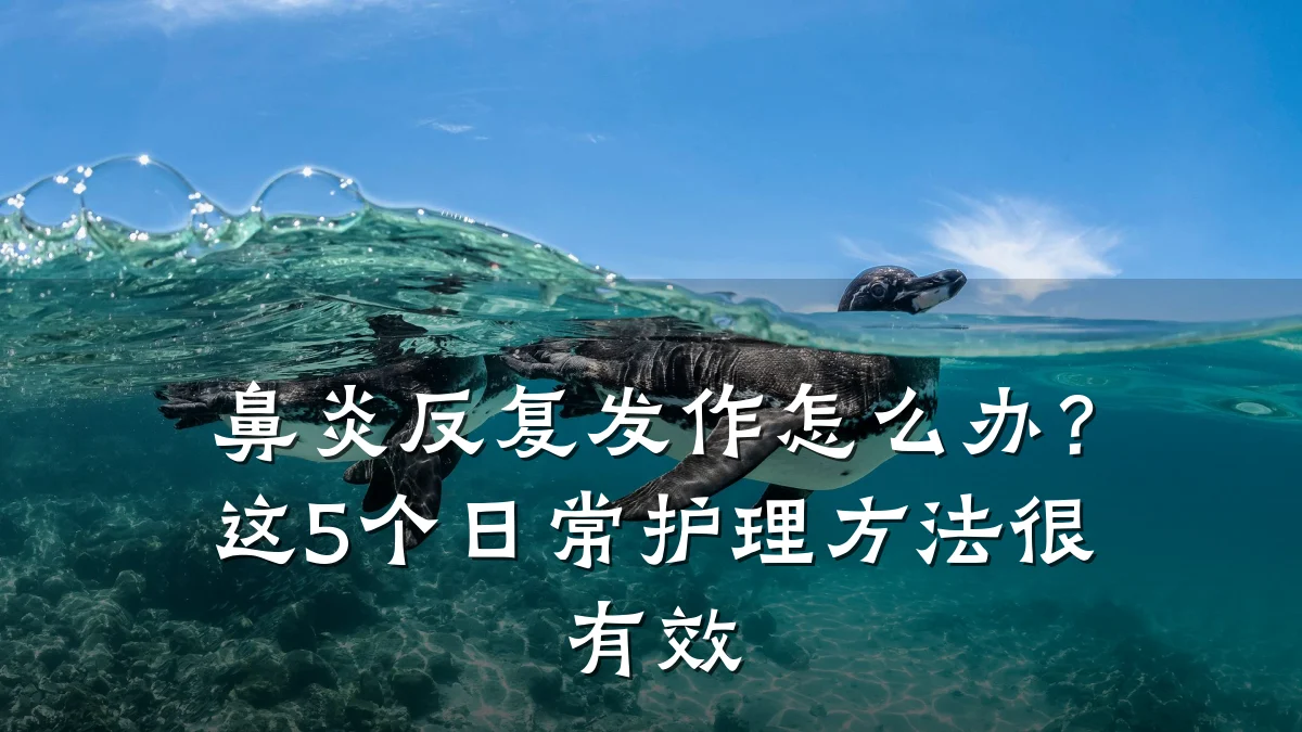 鼻炎反复发作怎么办？这5个日常护理方法很有效