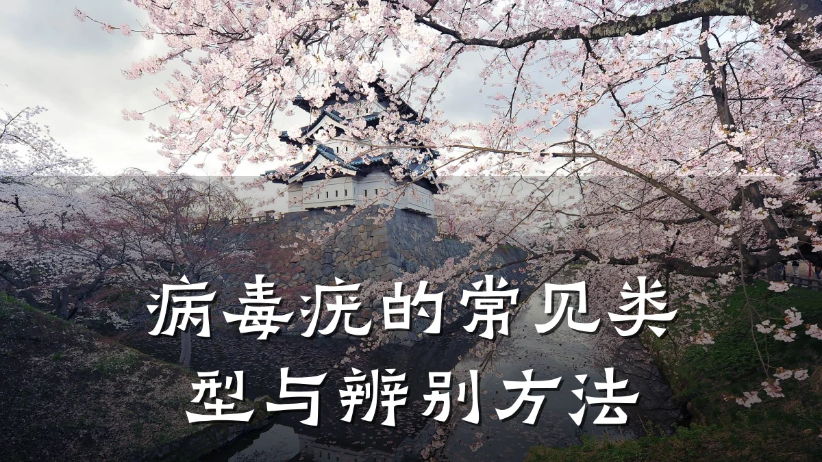 病毒疣的常见类型与辨别方法