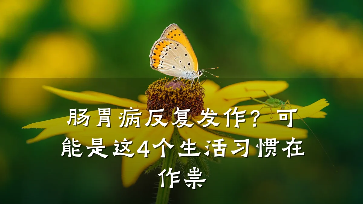肠胃病反复发作?可能是这4个生活习惯在作祟