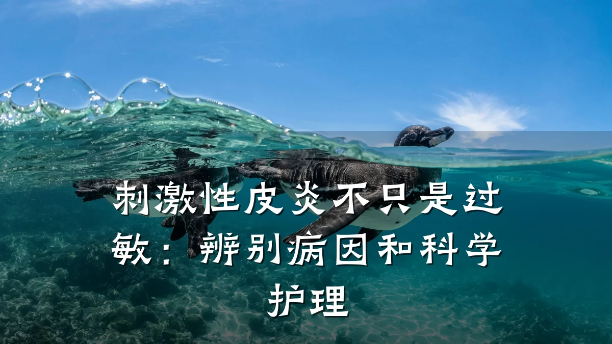 刺激性皮炎不只是过敏:辨别病因和科学护理