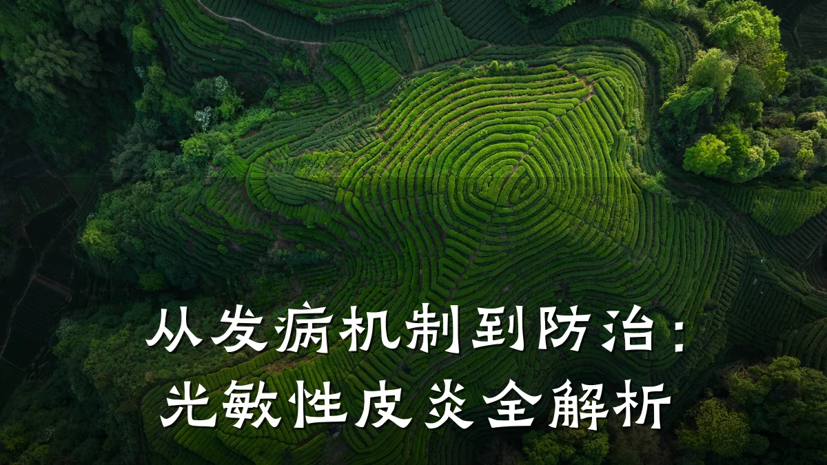 从发病机制到防治：光敏性皮炎全解析