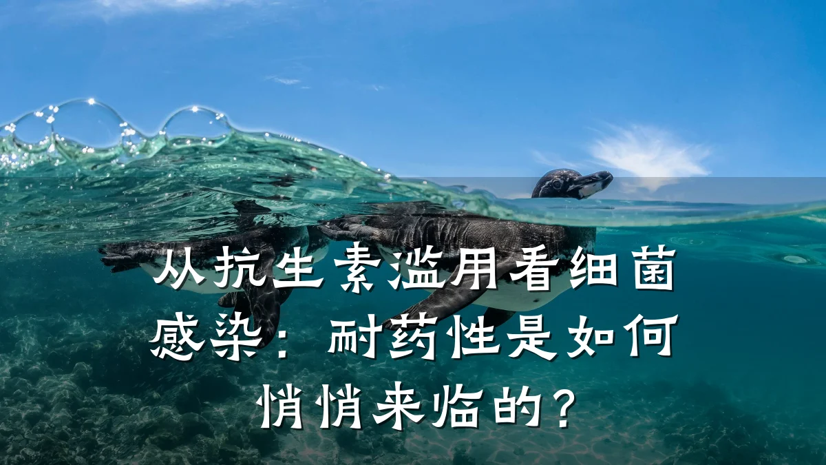 从抗生素滥用看细菌感染：耐药性是如何悄悄来临的？