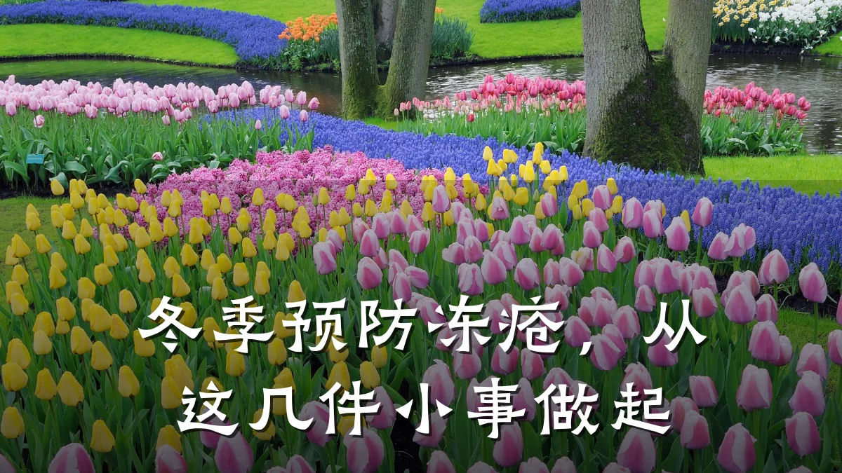 冬季预防冻疮,从这几件小事做起