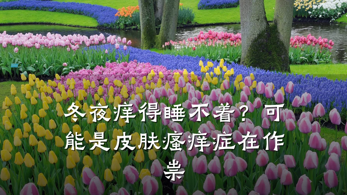 冬夜痒得睡不着?可能是皮肤瘙痒症在作祟