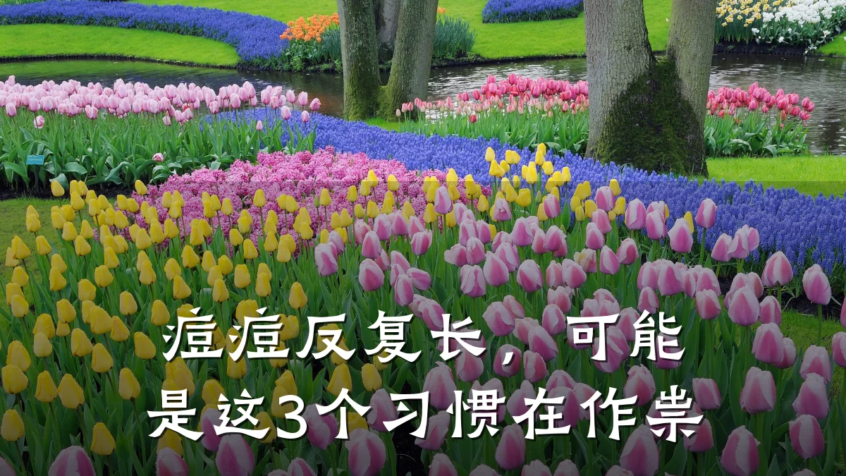 痘痘反复长,可能是这3个习惯在作祟