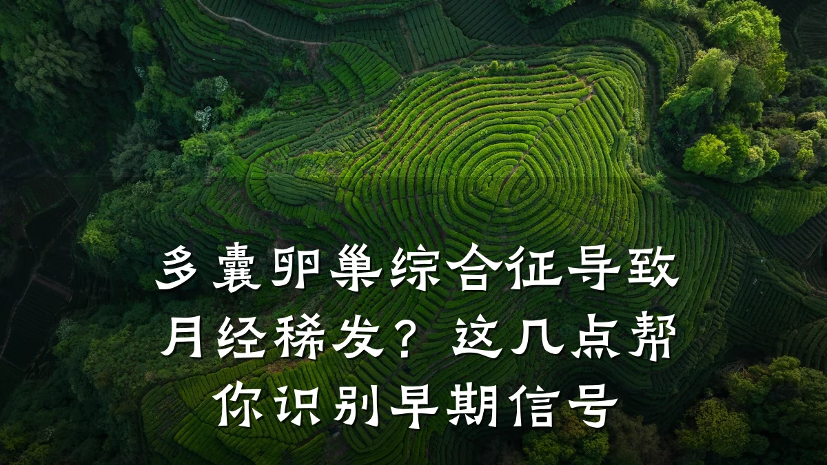 多囊卵巢综合征导致月经稀发?这几点帮你识别早期信号