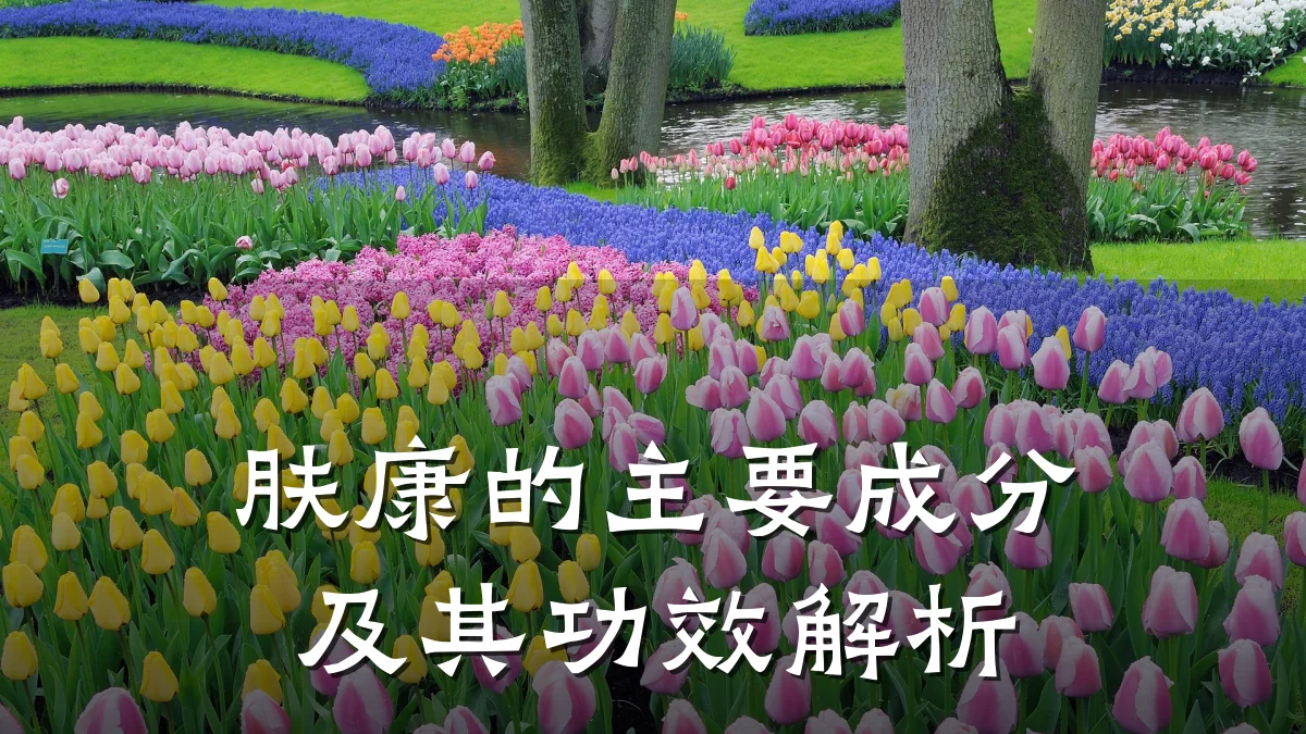 肤康的主要成分及其功效解析