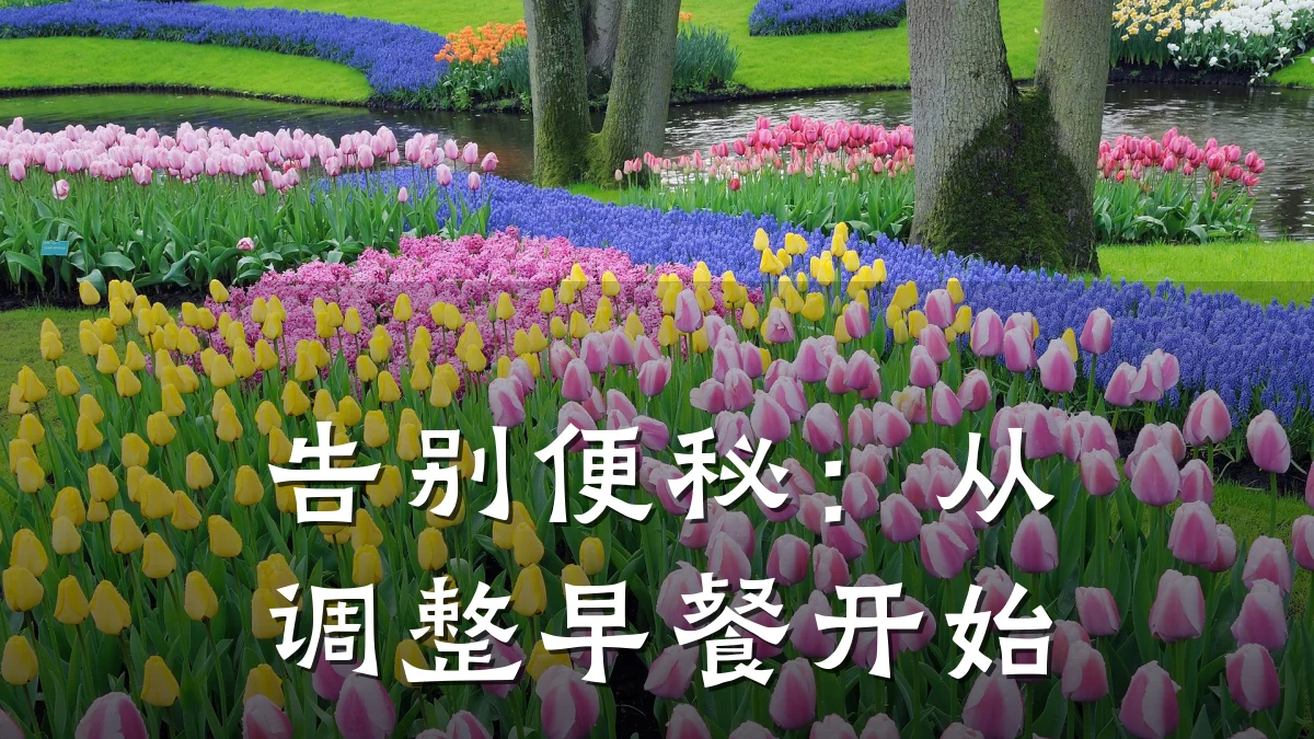 告别便秘:从调整早餐开始