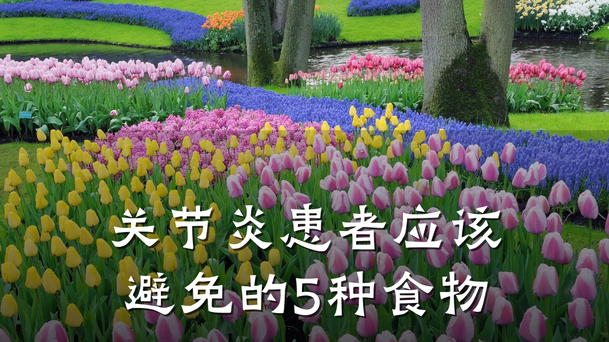 关节炎患者应该避免的5种食物