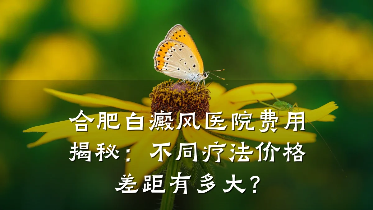 合肥白癜风医院费用揭秘:不同疗法价格差距有多大?