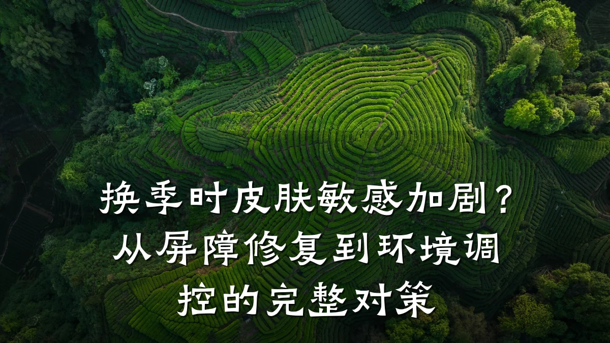 换季时皮肤敏感加剧?从屏障修复到环境调控的完整对策