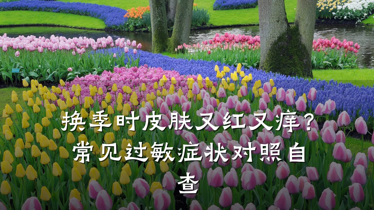 换季时皮肤又红又痒?常见过敏症状对照自查