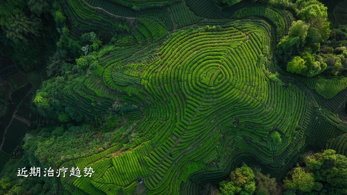 近期治疗趋势
