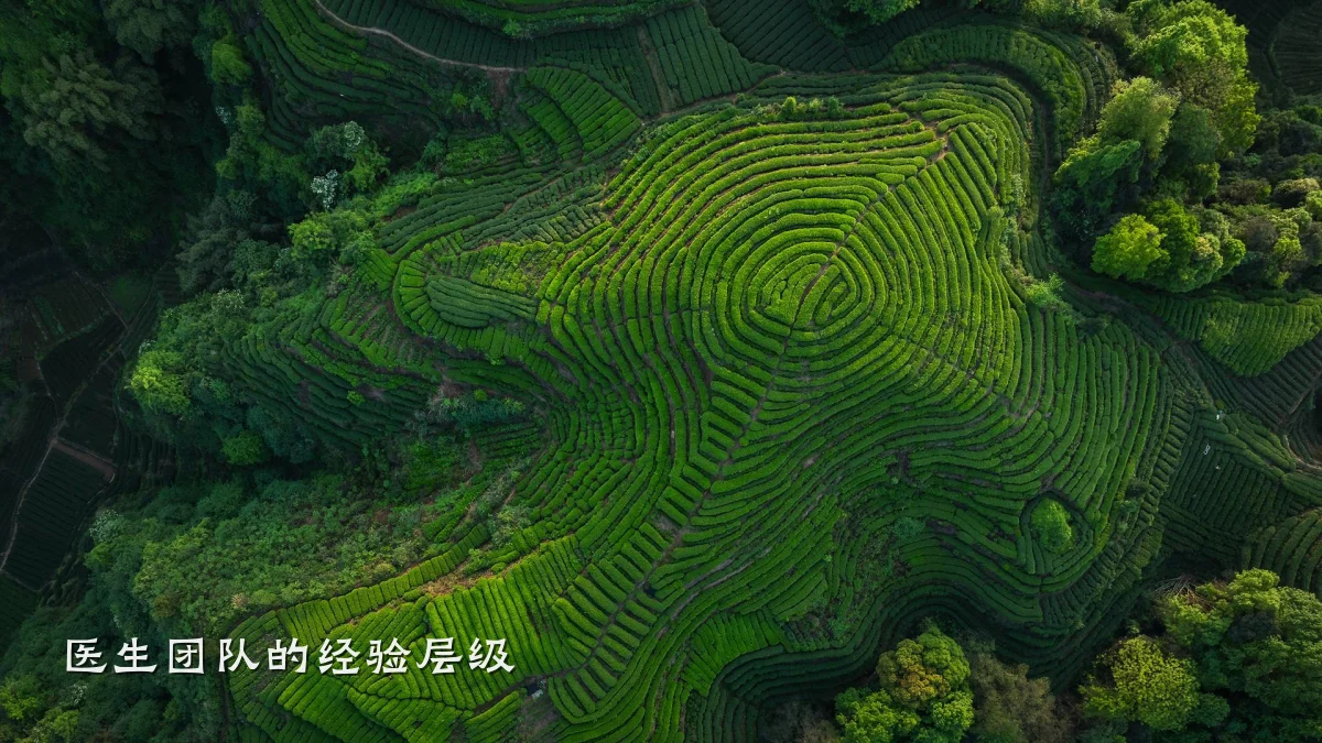 医生团队的经验层级