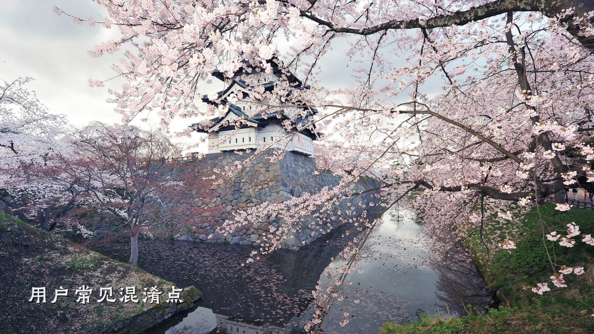 用户常见混淆点
