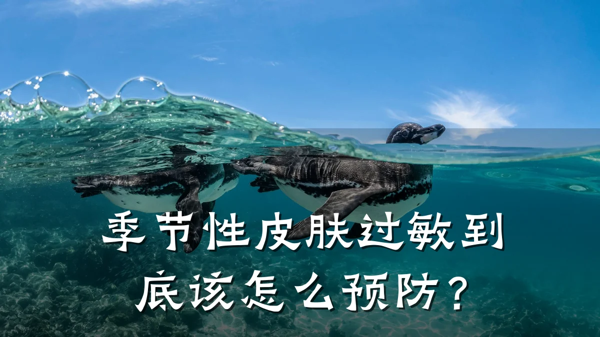 季节性皮肤过敏到底该怎么预防？
