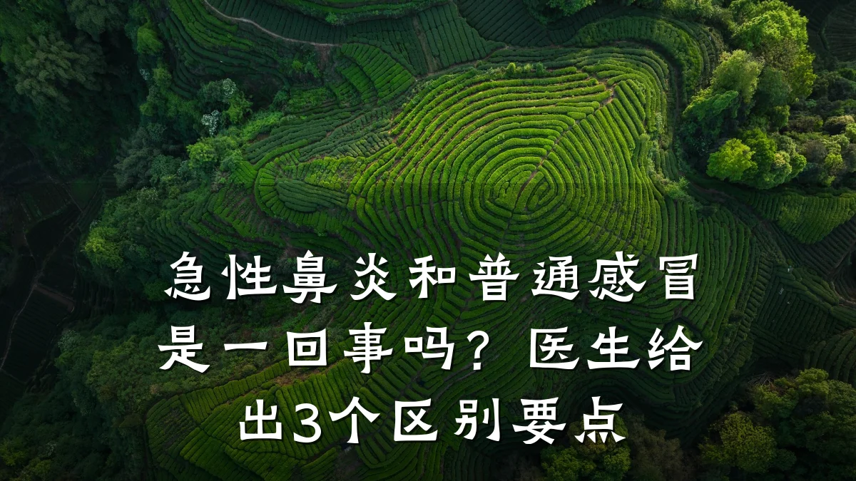 急性鼻炎和普通感冒是一回事吗?医生给出3个区别要点