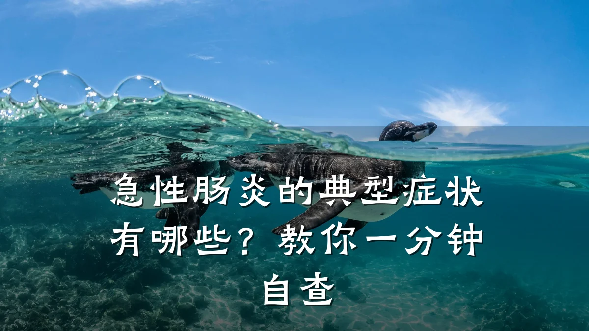 急性肠炎的典型症状有哪些?教你一分钟自查