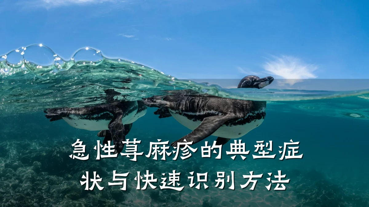 急性荨麻疹的典型症状与快速识别方法