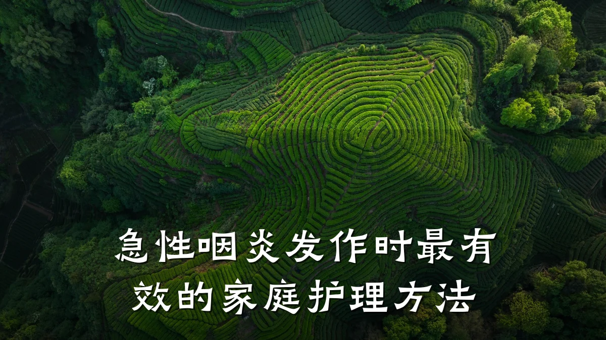 急性咽炎发作时最有效的家庭护理方法